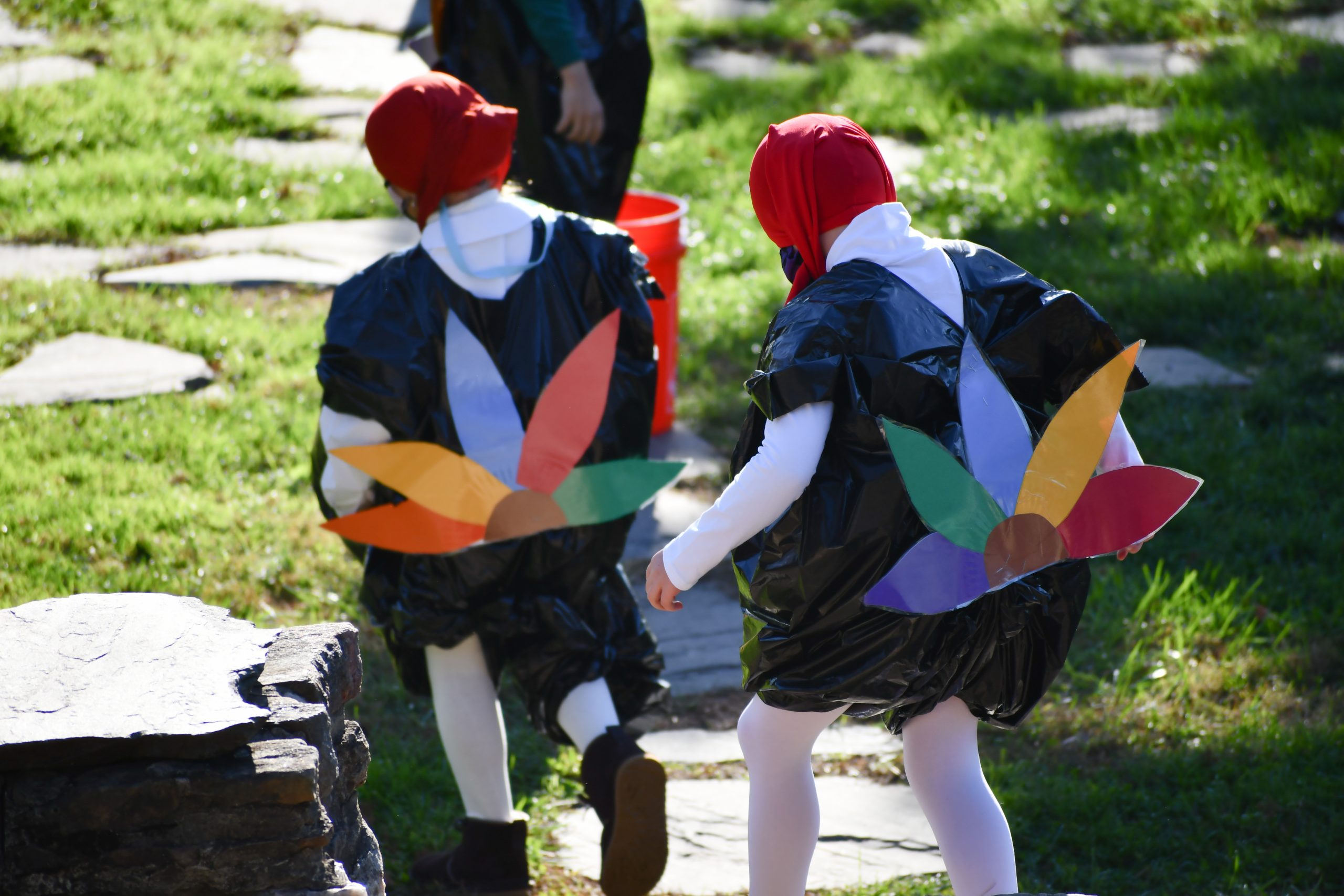 Students dressed as turkeys walk along a stone path.