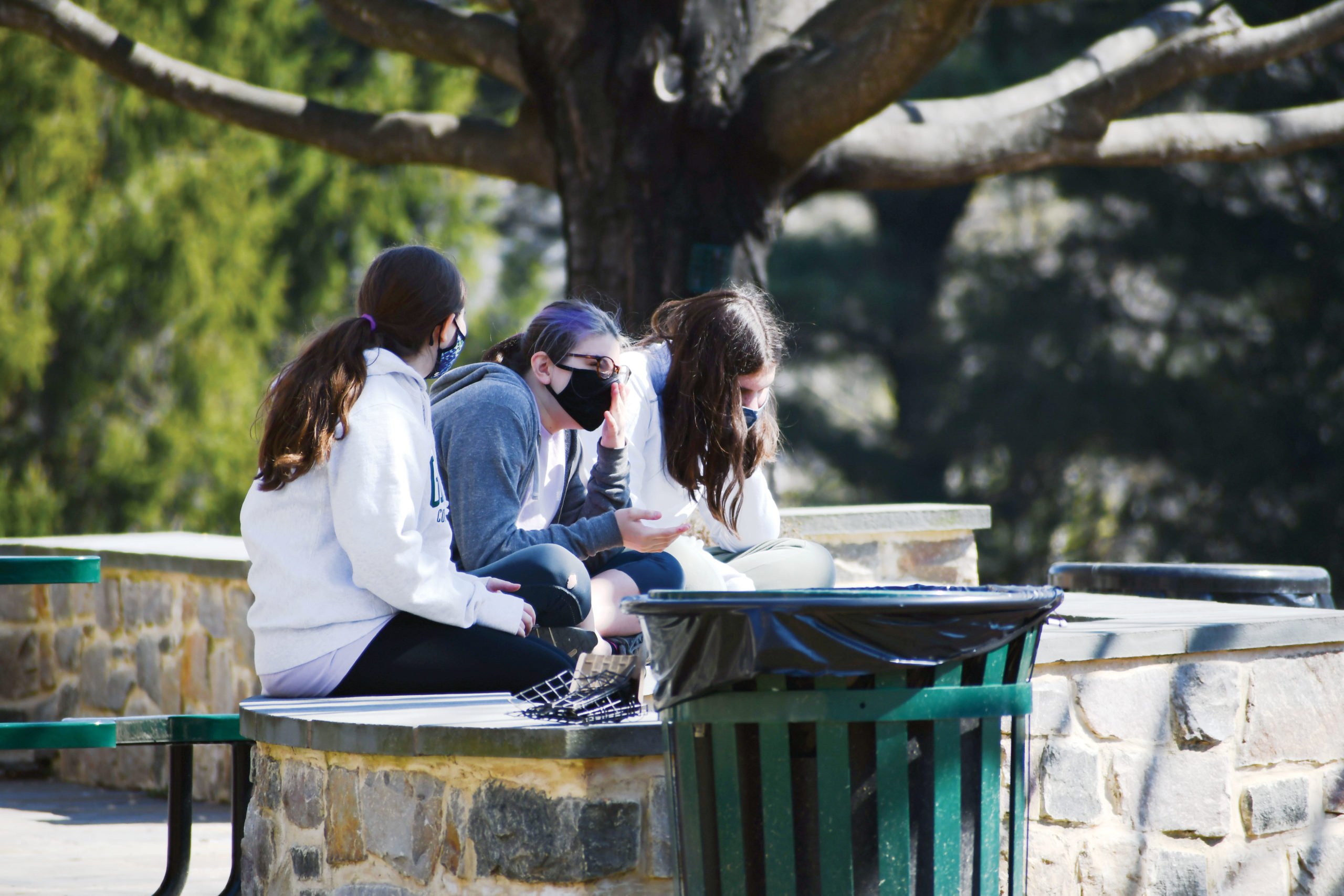 Three students sit on a stone wall under a tree.