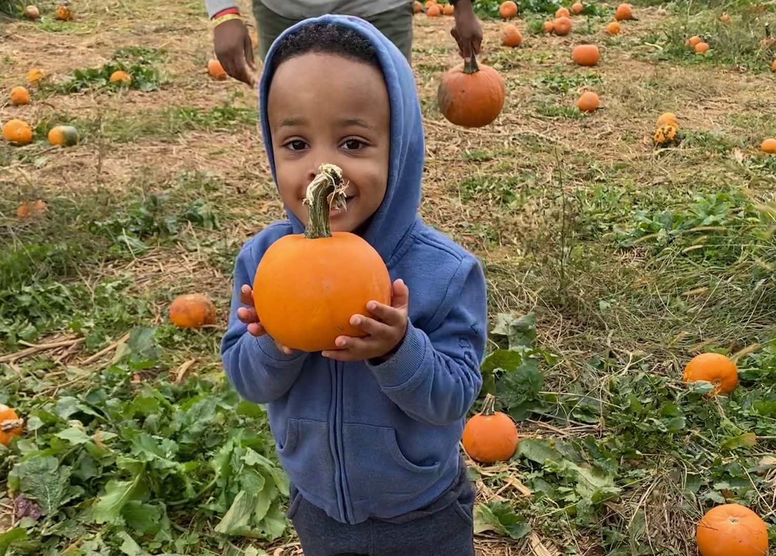 A three-year-old Little Dragons student shows off his pumpkin during a lesson in farm life at Gaver Farm.