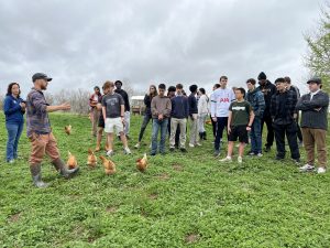 A group of students stand in a farm field with grazing chickens during a field trip about sustainable farming.