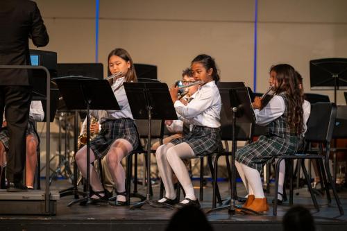 All Division Instrumental Concert (05.01.2025)